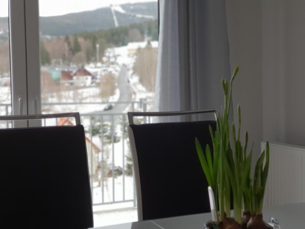 Vera Apartment Swieradow-Zdroj Zakopianska 22 C M10 Exterior foto